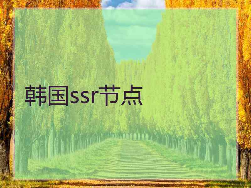 韩国ssr节点