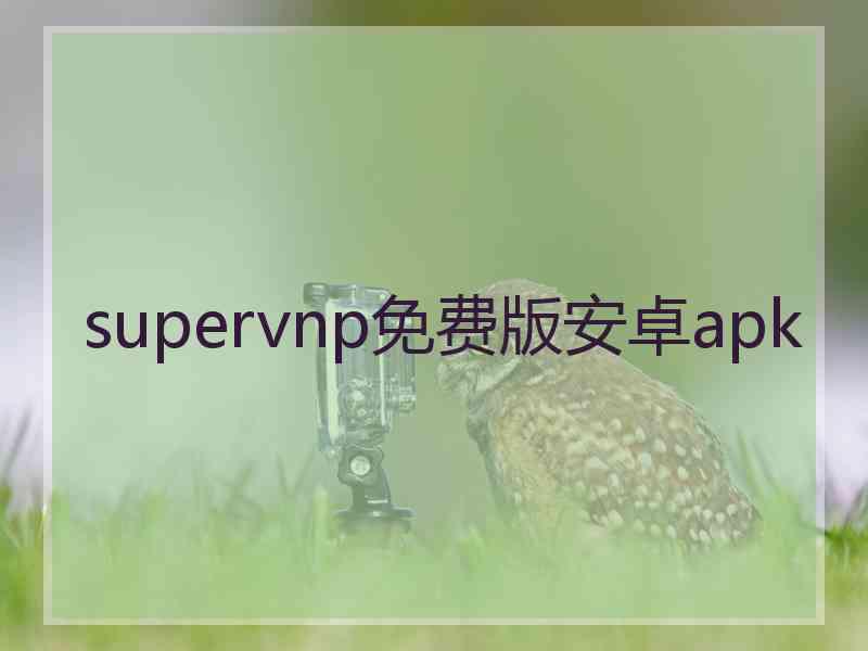 supervnp免费版安卓apk