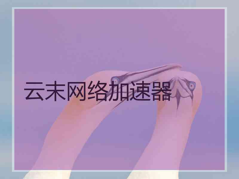 云末网络加速器