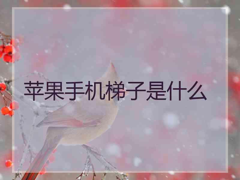 苹果手机梯子是什么