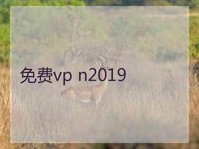 免费vp n2019