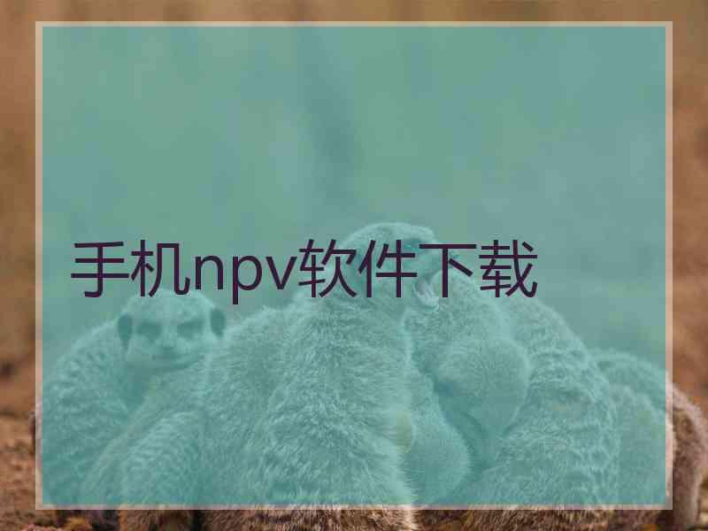 手机npv软件下载