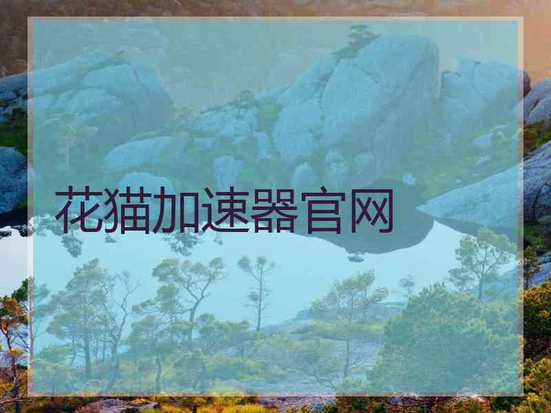 花猫加速器官网