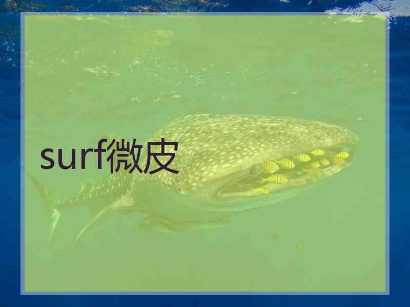 surf微皮