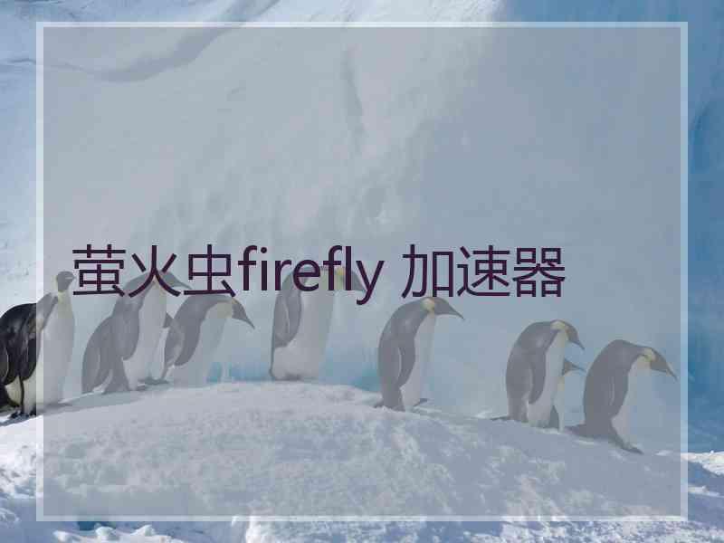 萤火虫firefly 加速器