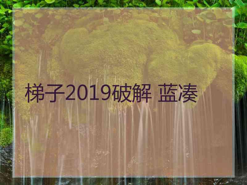 梯子2019破解 蓝凑