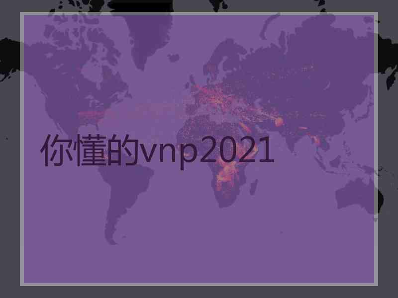 你懂的vnp2021