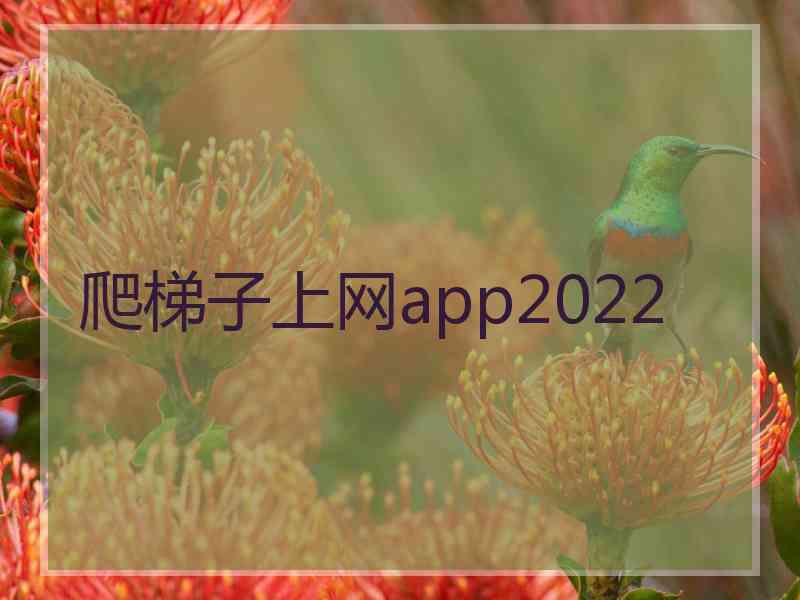 爬梯子上网app2022