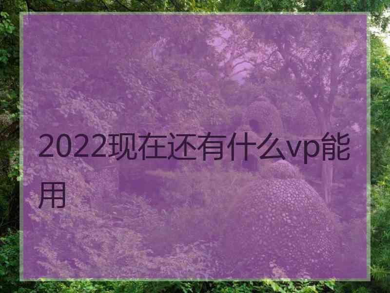 2022现在还有什么vp能用