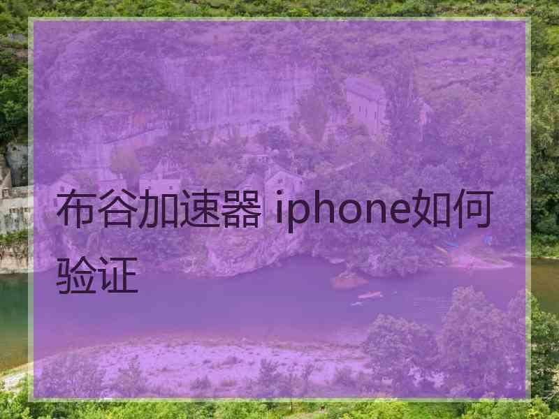 布谷加速器 iphone如何验证