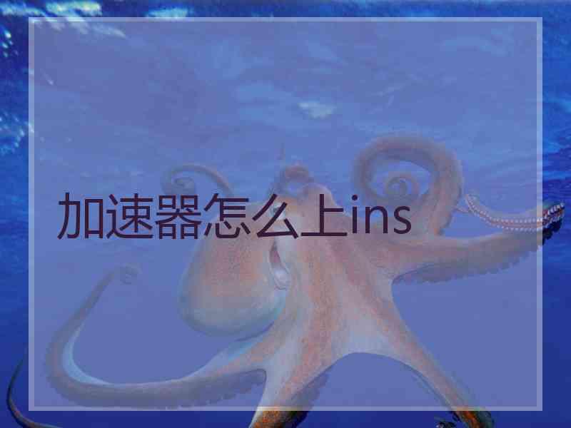 加速器怎么上ins