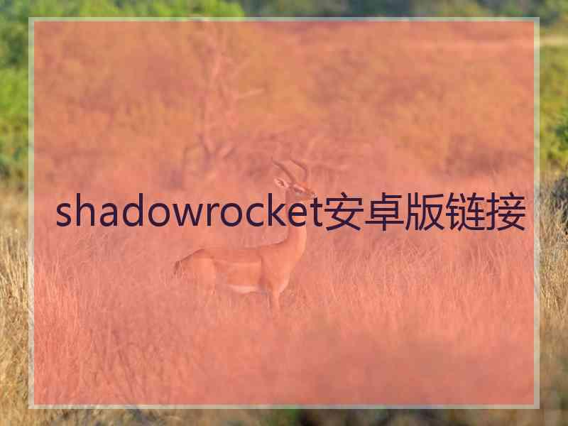 shadowrocket安卓版链接