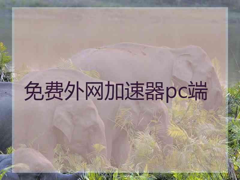 免费外网加速器pc端