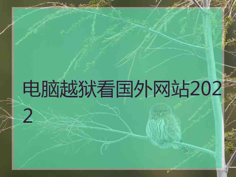 电脑越狱看国外网站2022