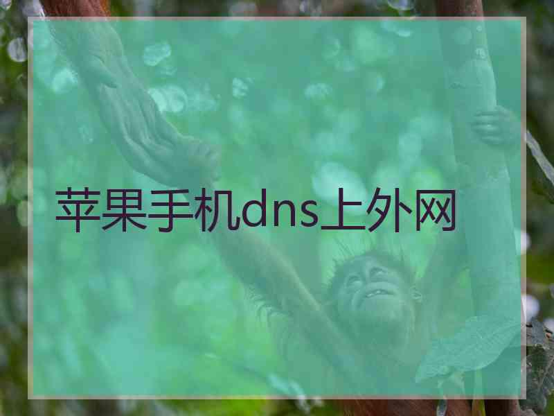 苹果手机dns上外网