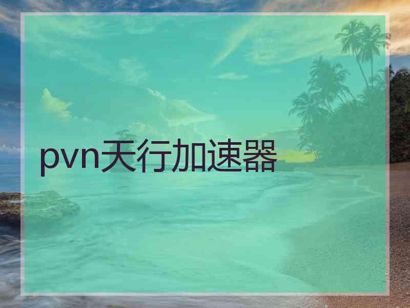 pvn天行加速器