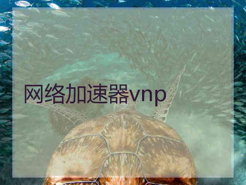 网络加速器vnp