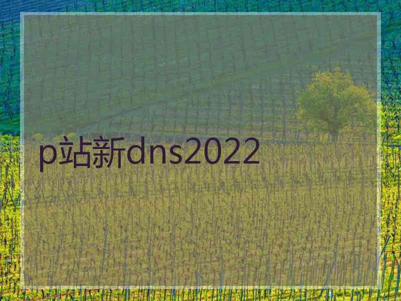 p站新dns2022