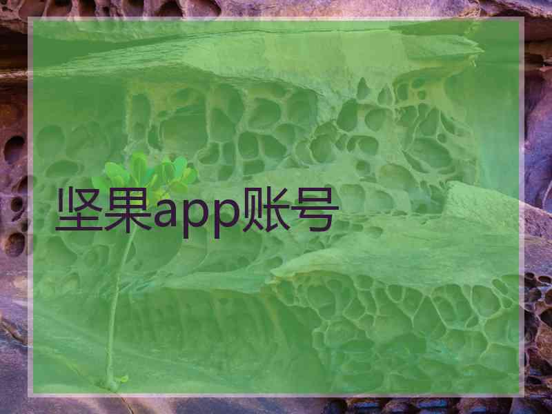 坚果app账号