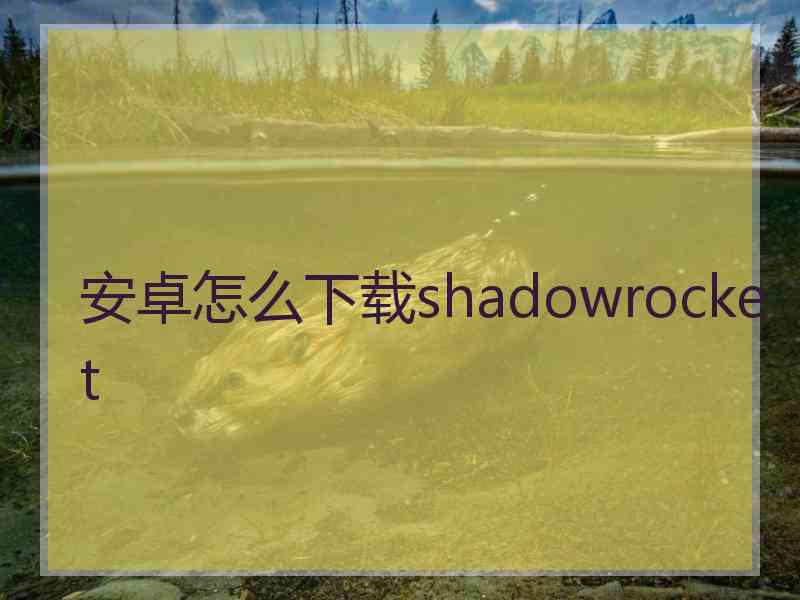 安卓怎么下载shadowrocket