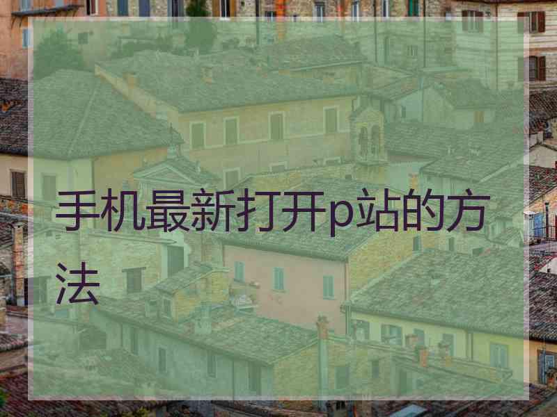 手机最新打开p站的方法