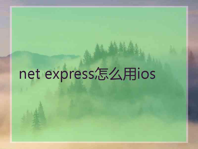 net express怎么用ios