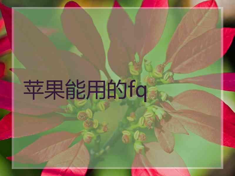 苹果能用的fq