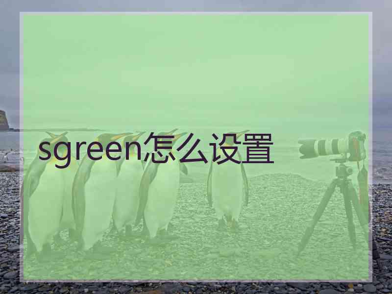 sgreen怎么设置