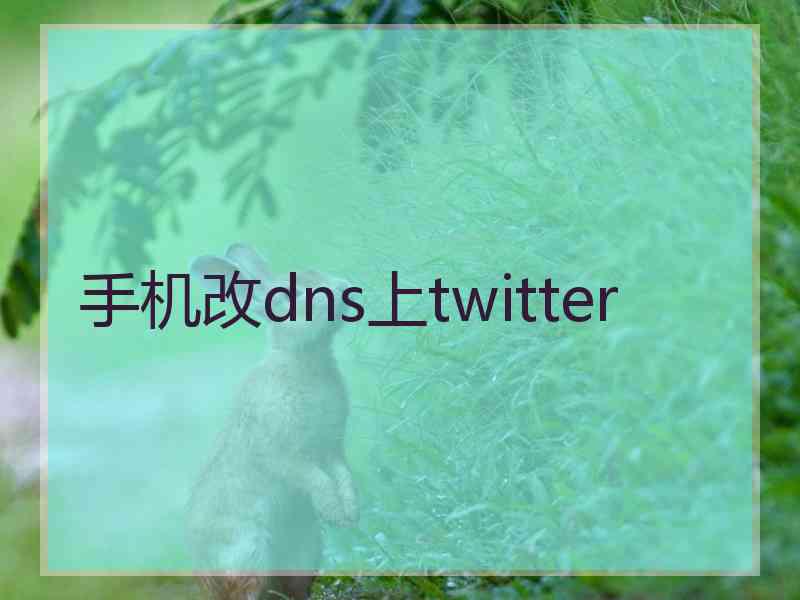 手机改dns上twitter