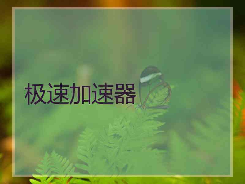 极速加速器