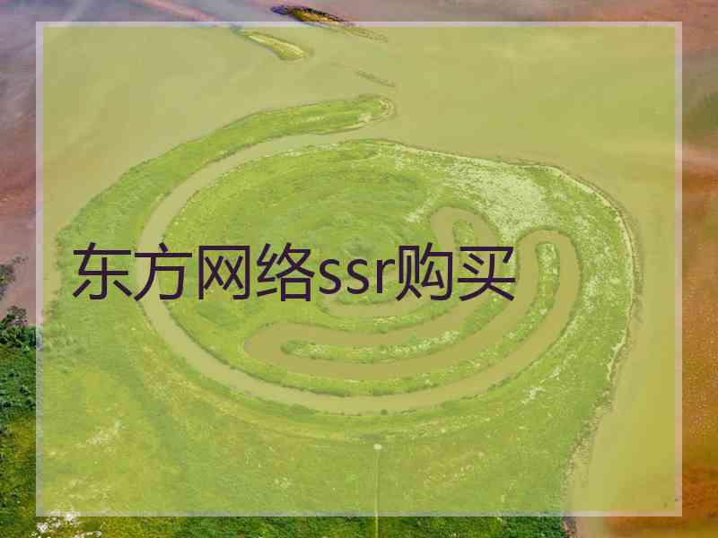 东方网络ssr购买