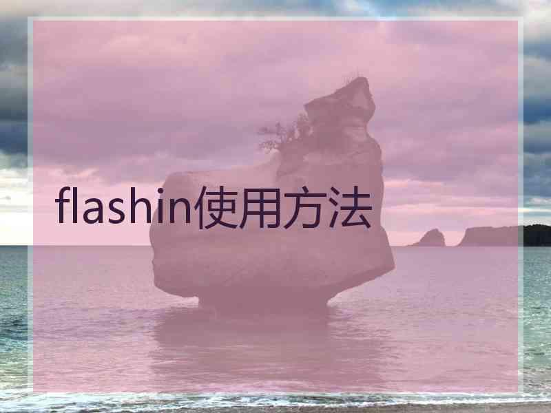 flashin使用方法