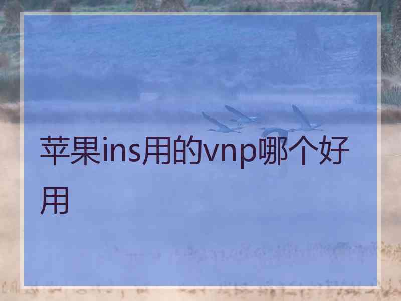 苹果ins用的vnp哪个好用