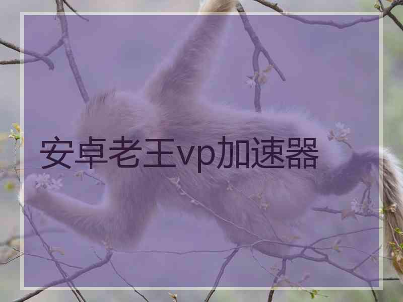 安卓老王vp加速器