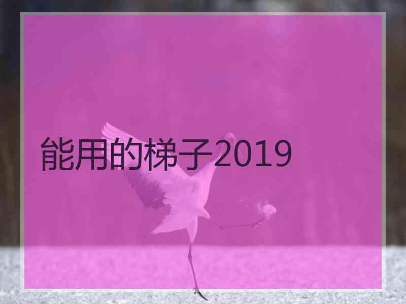 能用的梯子2019