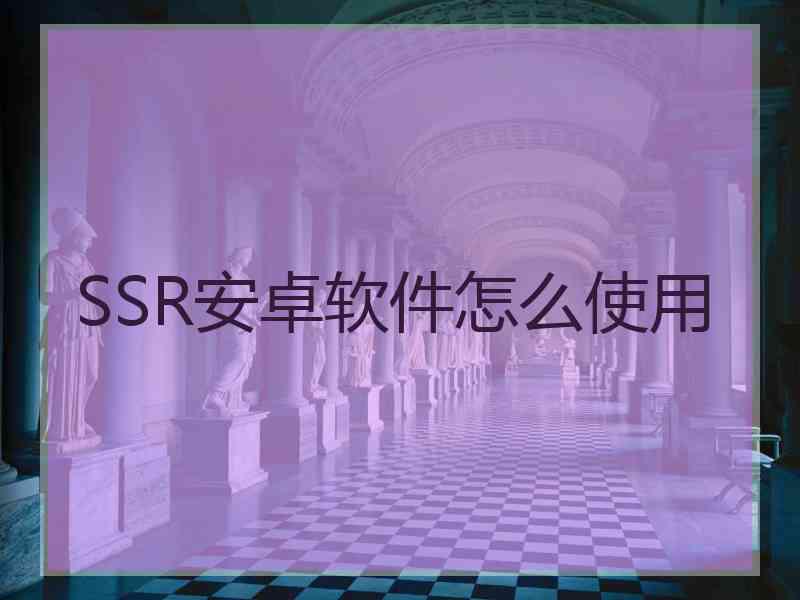 SSR安卓软件怎么使用