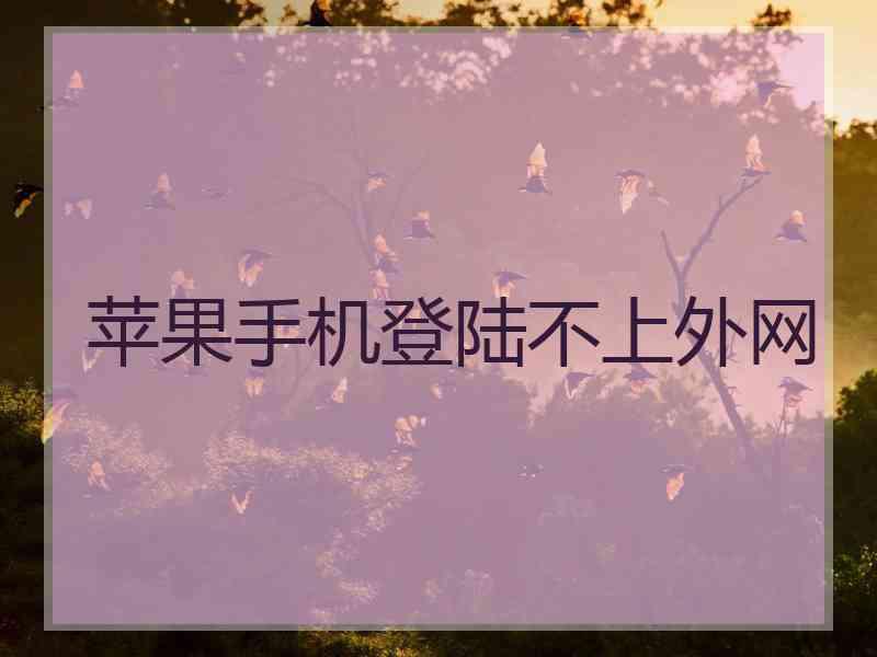 苹果手机登陆不上外网