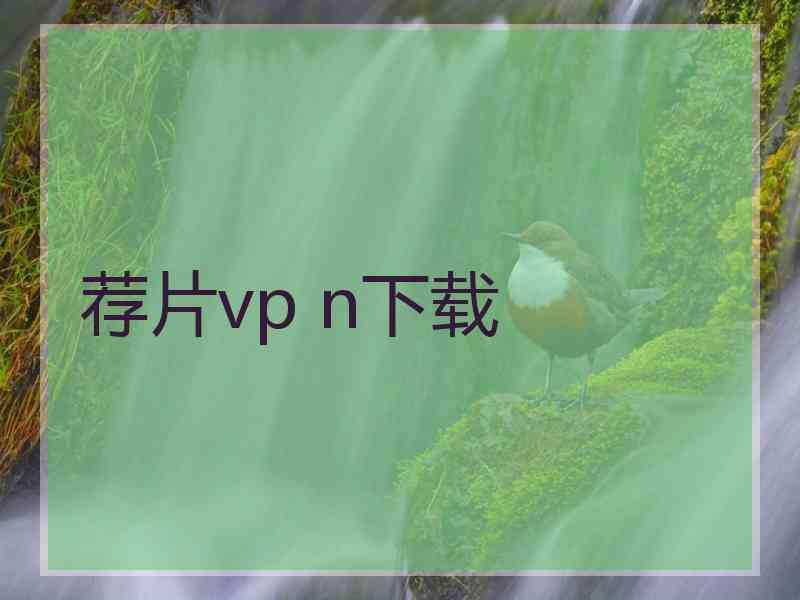 荐片vp n下载