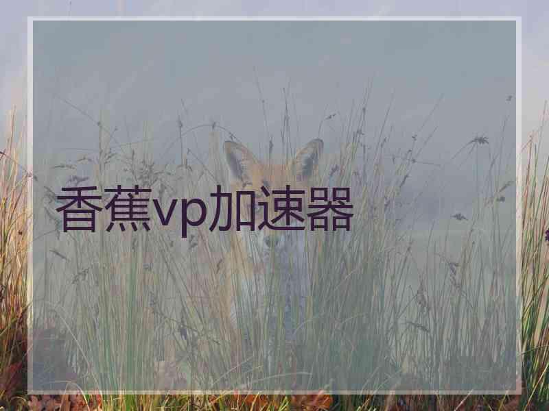 香蕉vp加速器