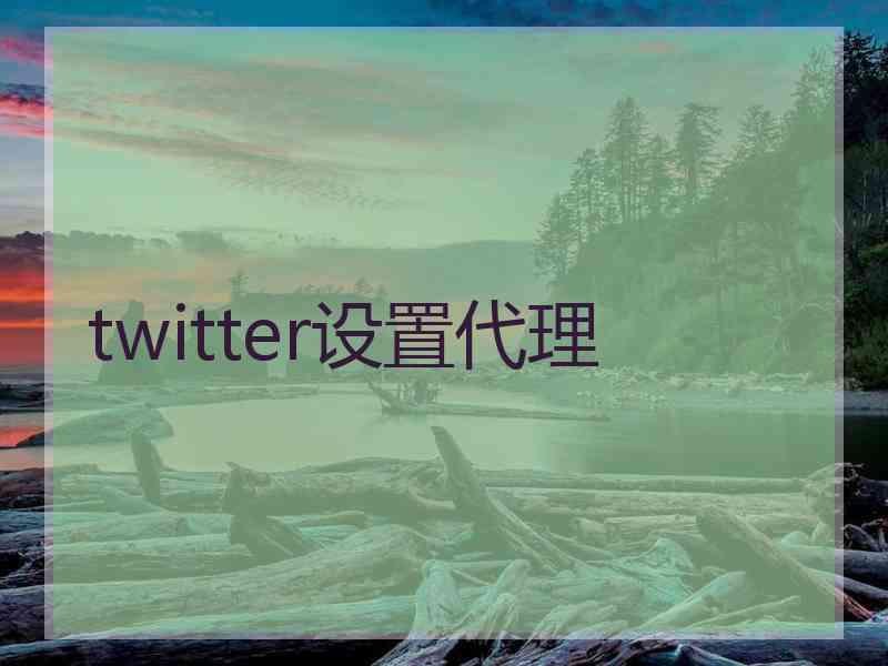 twitter设置代理