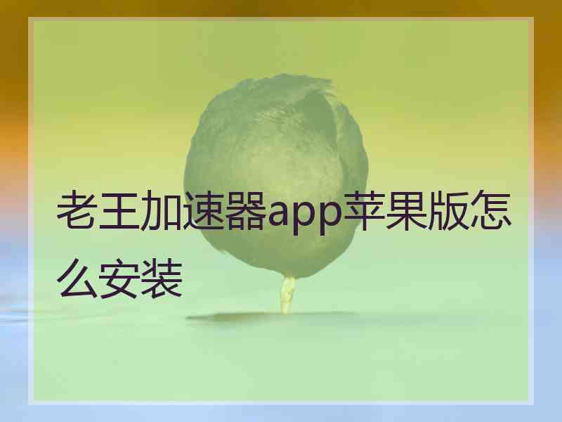 老王加速器app苹果版怎么安装