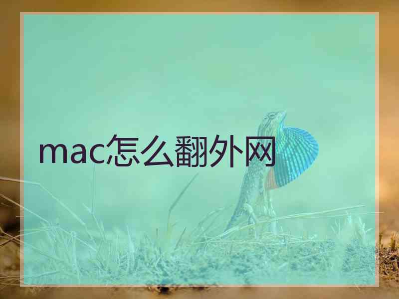 mac怎么翻外网