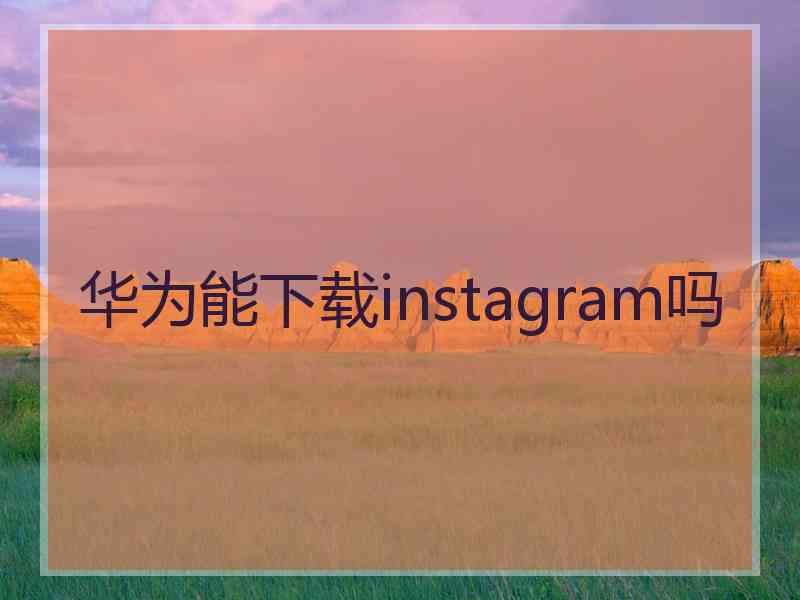 华为能下载instagram吗