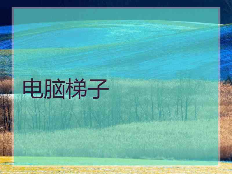电脑梯子