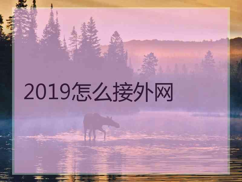 2019怎么接外网