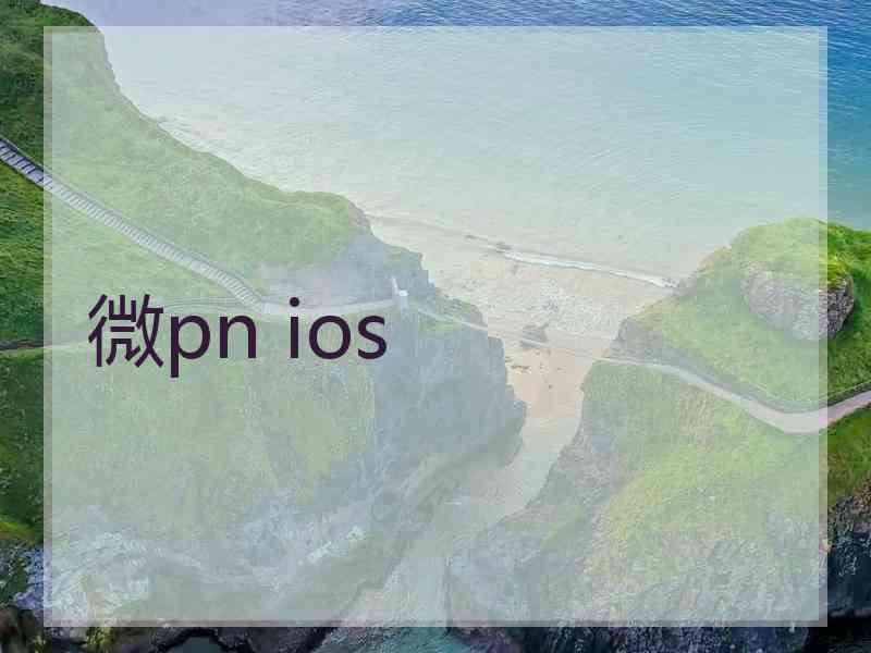 微pn ios