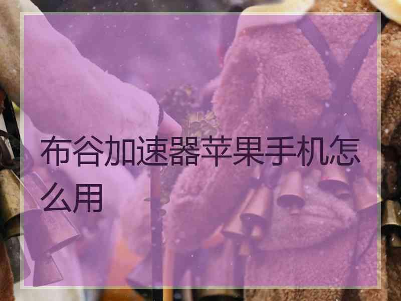 布谷加速器苹果手机怎么用