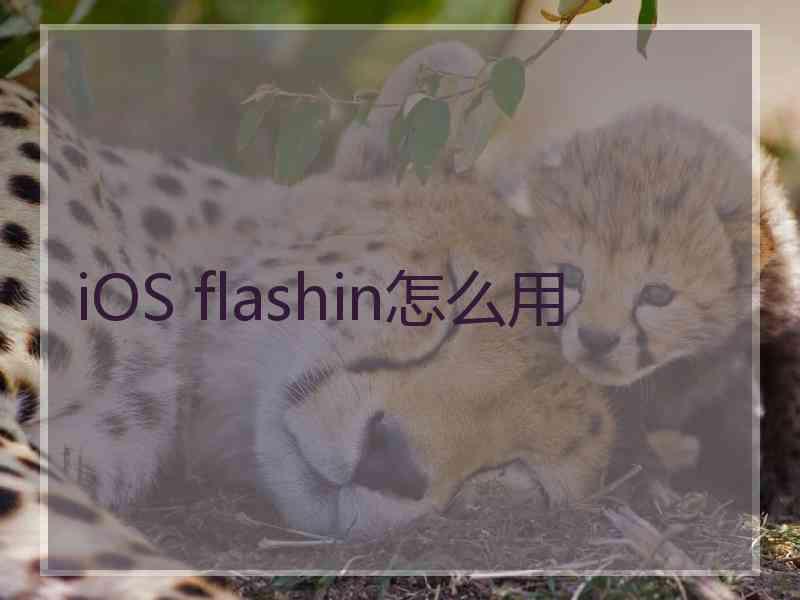 iOS flashin怎么用