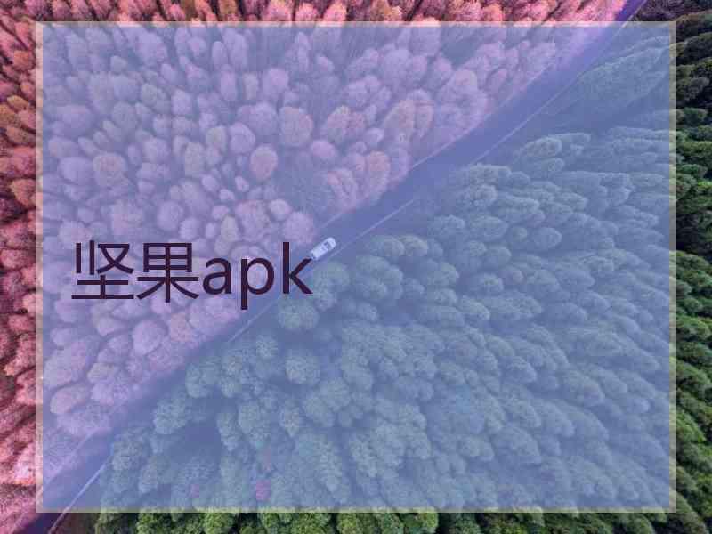 坚果apk