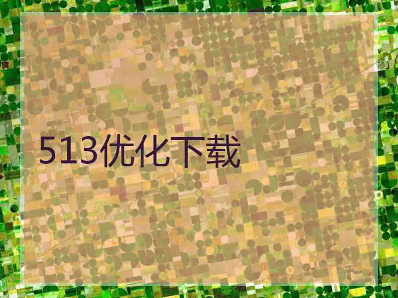 513优化下载